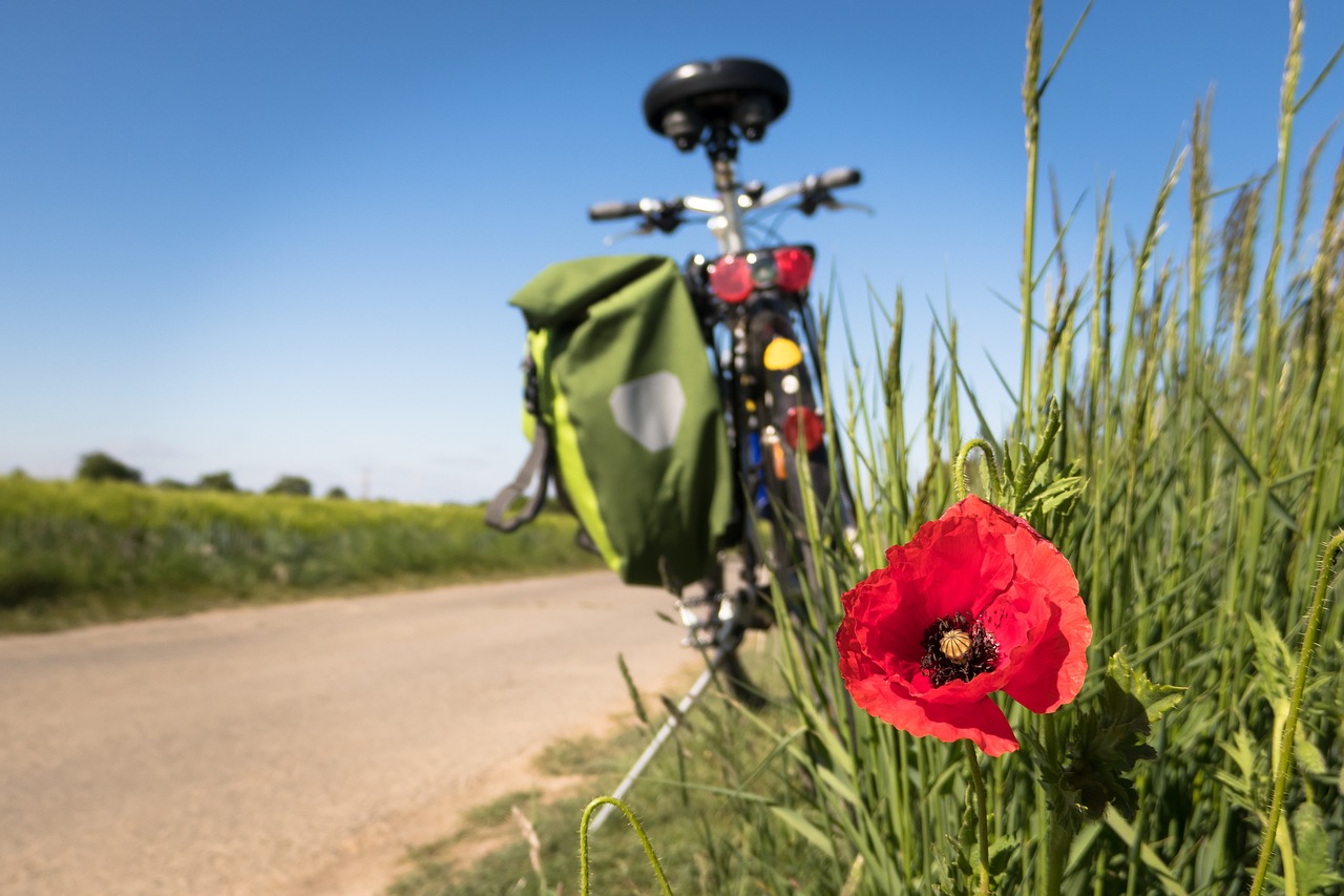 to go biking, poppy, leisure time